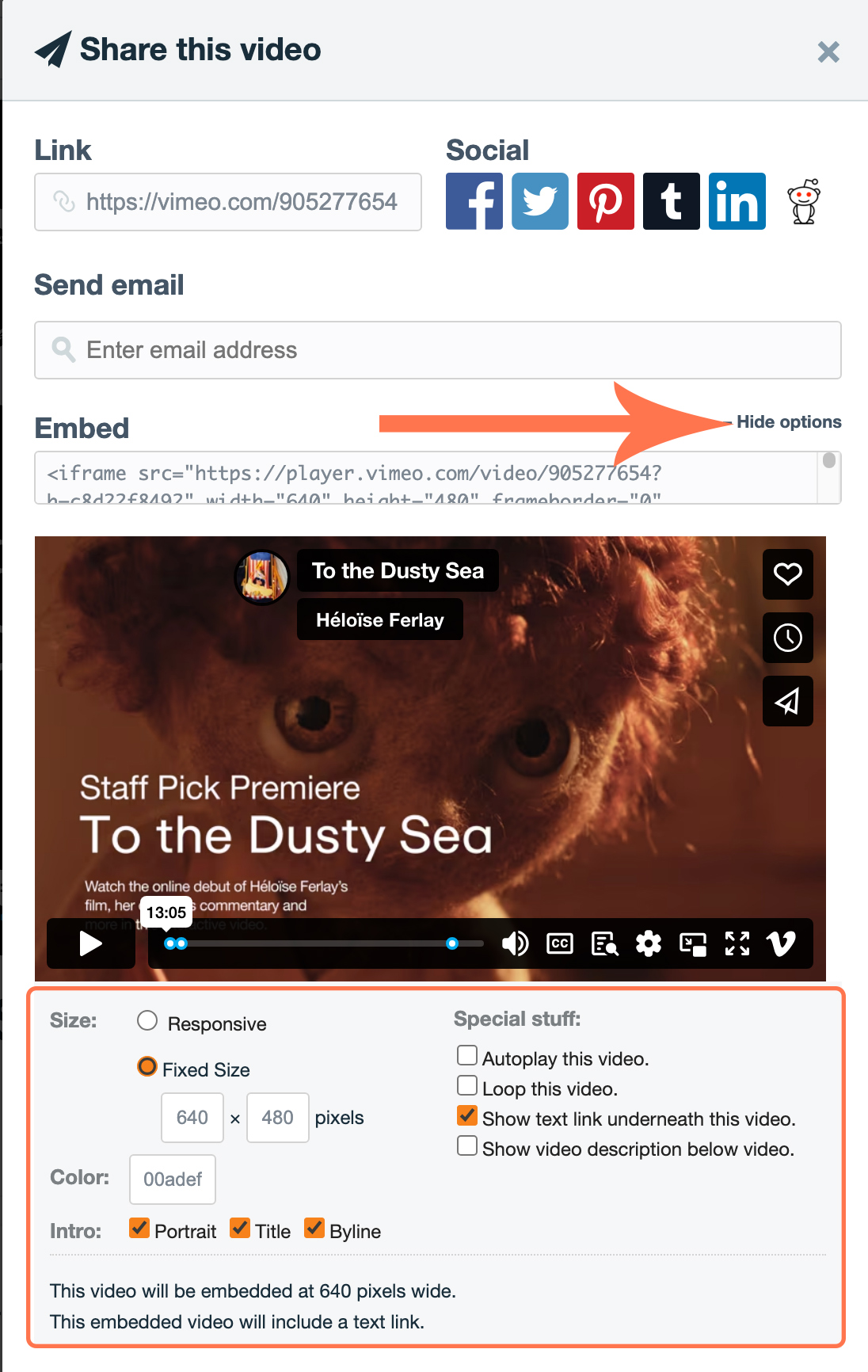 vimeo_more_options.jpg